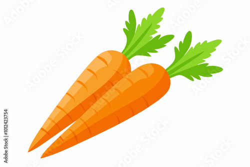 Fresh carrots vector art illustration