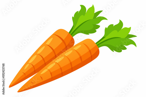 Fresh carrots vector art illustration
