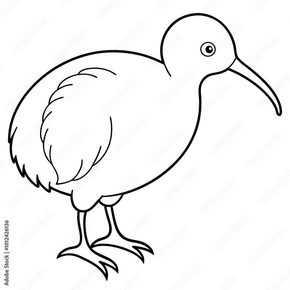 Obraz premium kiwi bird on white background