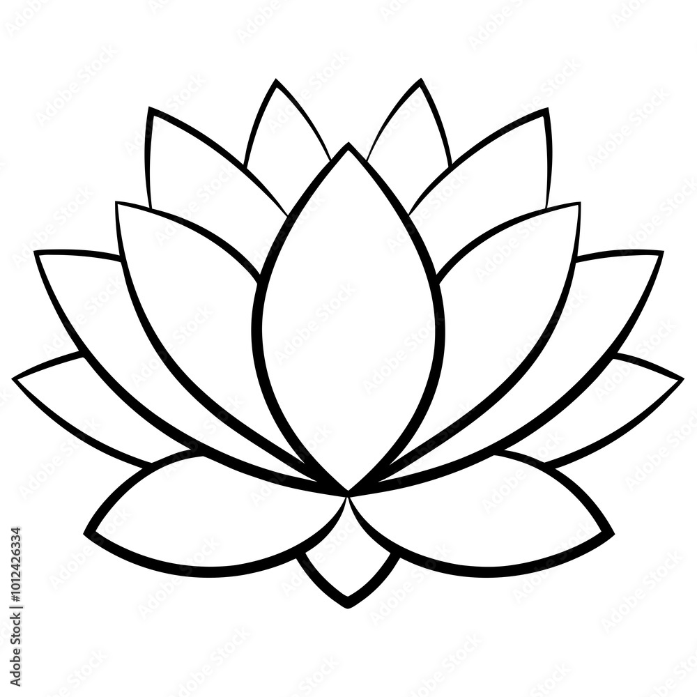 lotus flower isolated on white lotus flower isolated on white