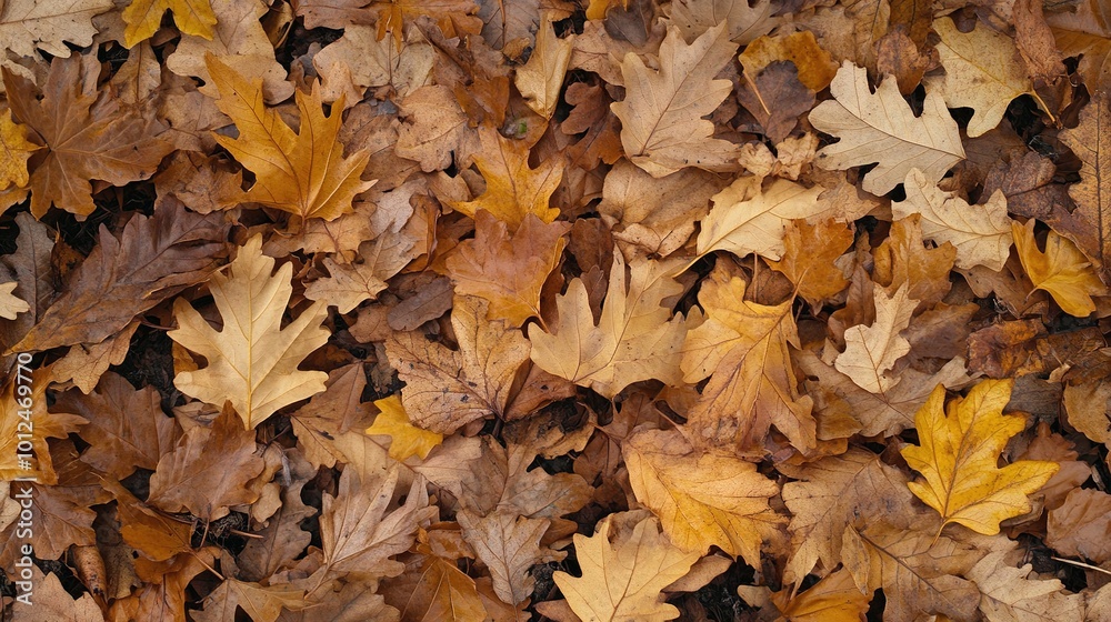 A close-up view of vibrant oak leaves, showcasing their distinct lobed shape and rich green hues. The image captures the intricate details of the leaf veins and the texture, A close-up view of vibrant oak leaves, showcasing their distinct lobed shape and rich green hues. The image captures the intricate details of the leaf veins and the texture,