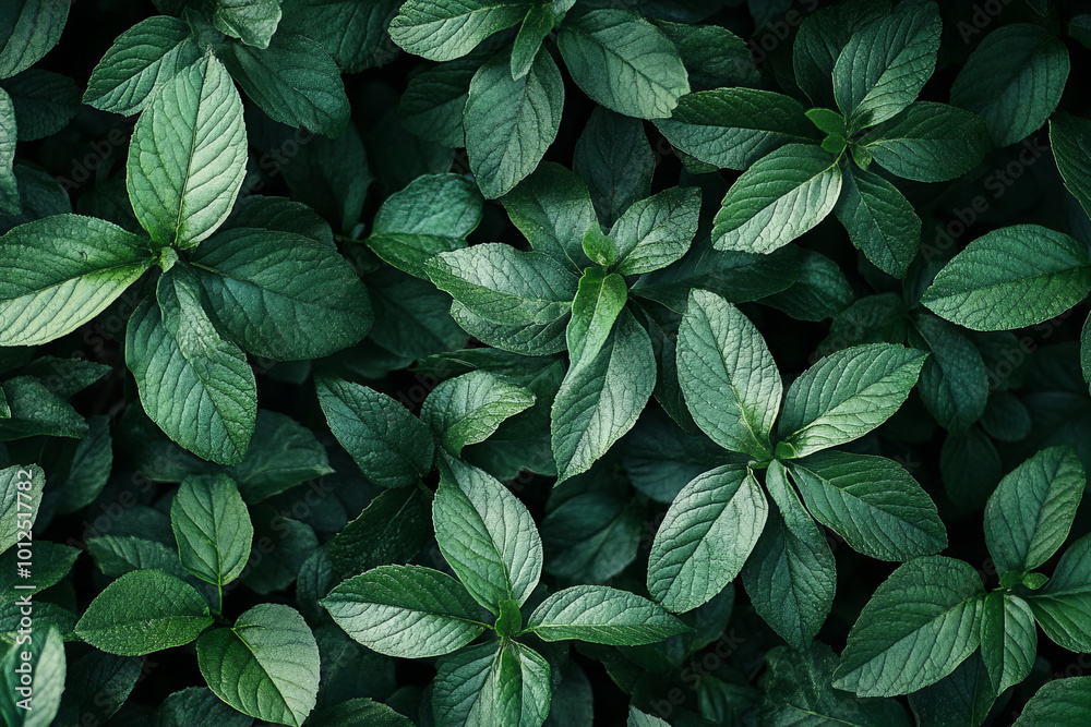 the intricate beauty of green foliage textures in nature photography the intricate beauty of green foliage textures in nature photography