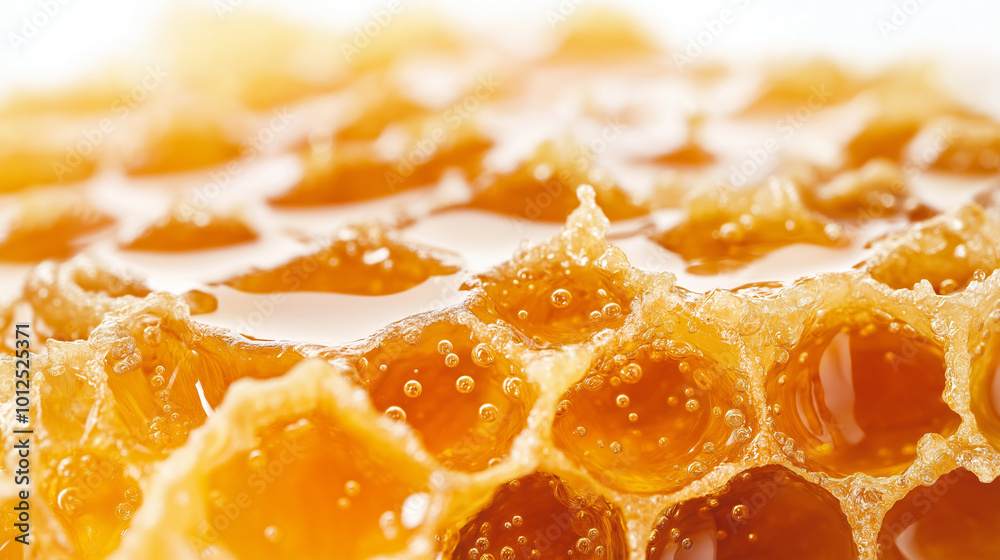 the image of honeycomb on a plain white background the image of honeycomb on a plain white background