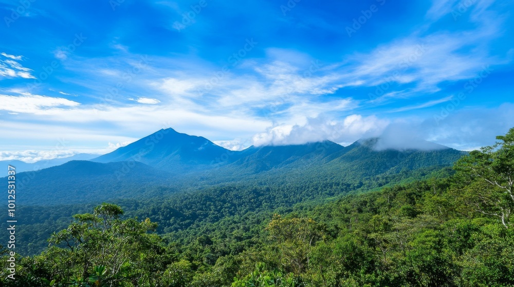 Obraz premium Lush Green Forest with Misty Mountain Peaks Under a Blue Sky