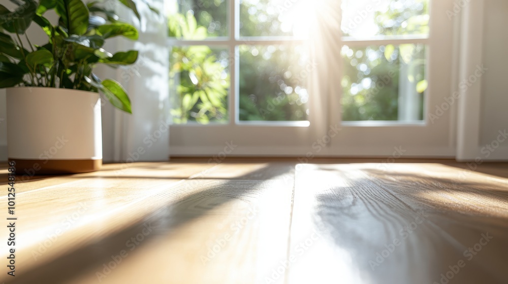 Natural light floods through a window, casting shadows on the wooden floor, where a potted plant adds greenery, creating a serene, peaceful atmosphere inside the room. Natural light floods through a window, casting shadows on the wooden floor, where a potted plant adds greenery, creating a serene, peaceful atmosphere inside the room.
