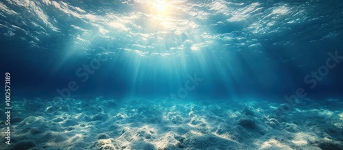 Underwater view of a bright sun shining down onto the ocean floor.