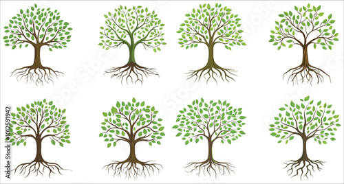 Abstract colorful tree with roots, Set of tree with green leaves and roots, Tree icon illustration, Green tree with roots vector illustration