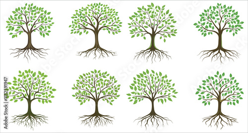 Abstract colorful tree with roots, Set of tree with green leaves and roots, Tree icon illustration, Green tree with roots vector illustration
