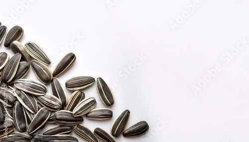 Striped black and white sunflower seed -Helianthus annuus - There are three types of commonly used sunflower seeds: linoleic (most common), high oleic, and sunflower oil seed. Isolated on white
