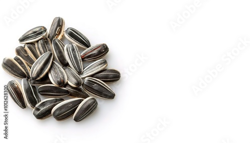 Striped black and white sunflower seed -Helianthus annuus - There are three types of commonly used sunflower seeds: linoleic (most common), high oleic, and sunflower oil seed. Isolated on white photo