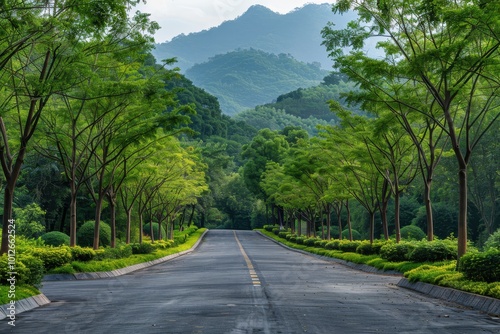 Hangzhou China s mountainous forest and asphalt road photo