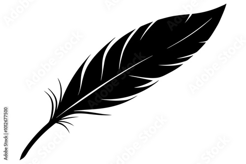 Beautiful feathers vector silhouette | vector silhouette illustration on white background