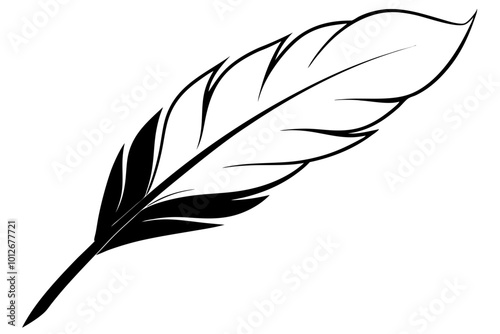 Beautiful feathers vector silhouette | vector silhouette illustration on white background