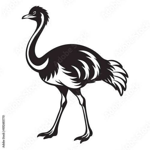 Ostrich bird walking silhouette vector illustration