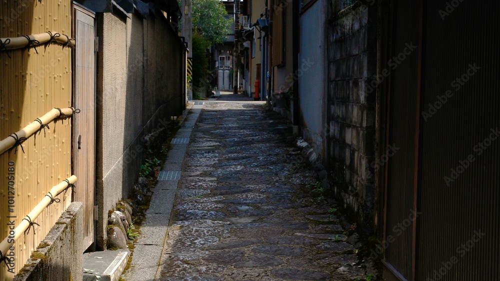 Fototapeta premium Gujo Hachiman 
