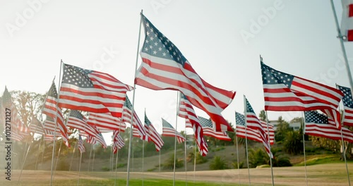 A moving and poignant display of numerous US flags honors the tragic events of September 11, 2001, reflecting the profound patriotism and deeprooted remembrance embedded in the fabric of the USA photo