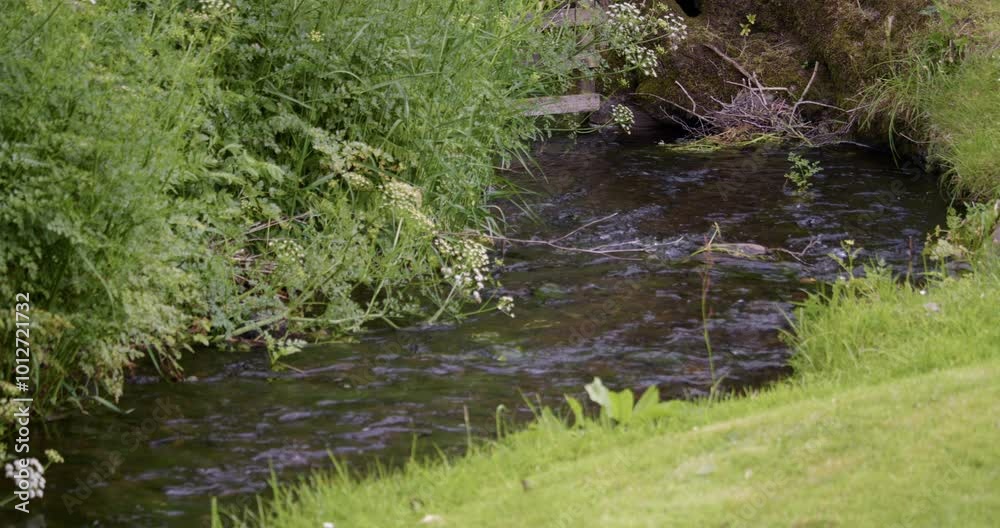 shot of a fast flowing stream with cut grass lawn in foreground in West lake district shot of a fast flowing stream with cut grass lawn in foreground in West lake district