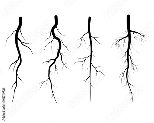 set of tree roots