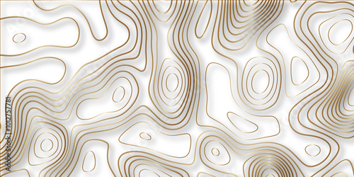 Abstract white golden Topographic line map background shadows. Contour elevation topographic and textured Background Modern design with White background with topographic wavy pate for decoration. 