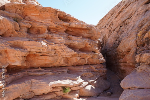 Sticker Valley Of Fire Nevada