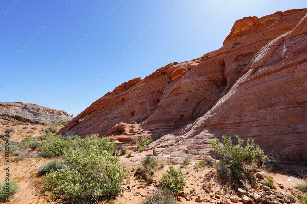 Fototapeta premium Valley Of Fire Nevada