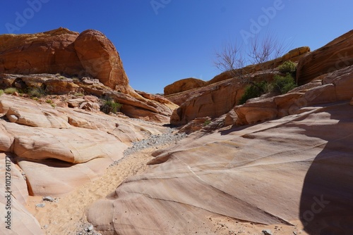 Canvas Print Valley Of Fire Nevada