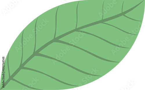 シンプルな葉のイラスト