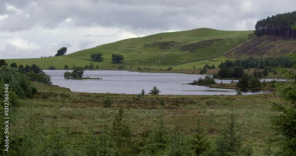 Extra wide shot looking down Cogra Moss lake and high hows hill with fir trees in background Extra wide shot looking down Cogra Moss lake and high hows hill with fir trees in background