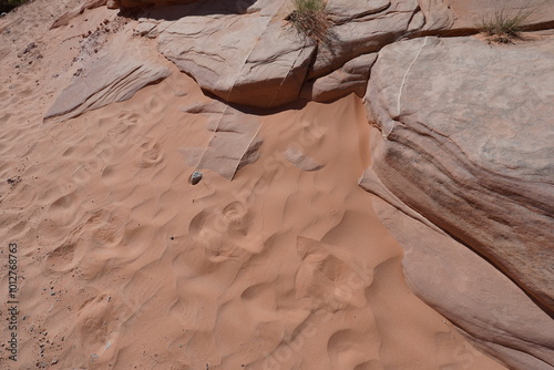 Photography Valley Of Fire Nevada