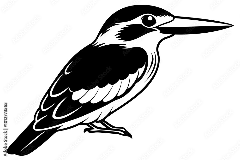 Fototapeta premium Cute kingfisher Bird halcyon senegalensis salute vector art illustration