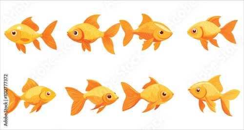 Colorful goldfish illustration. Set of goldfish vector. Aquarium decorative goldfish vector. Tropical goldfish vector collection. Set of aquarium fish vector