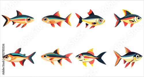 Congo tetra fish vector set. Colorful Congo tetra fish collection. Set of aquarium fish vector. Aquarium Congo tetra fish vector