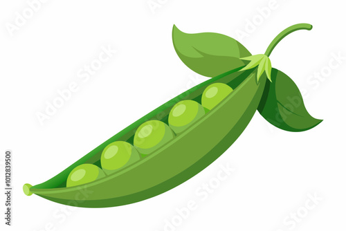 Pea frui with green leaf vegetable item vector art illustration