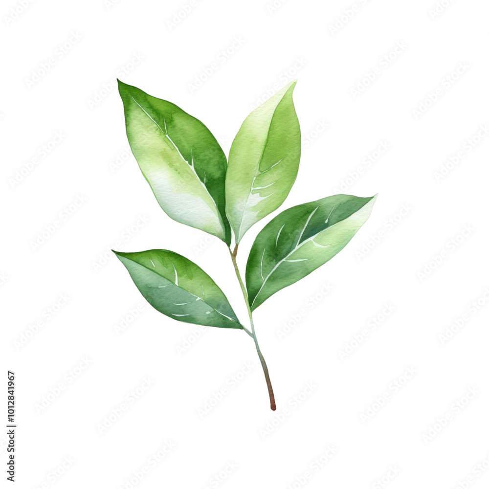Fototapeta premium Green leaf branch watercolor painting is perfect for nature themed designs, botanical prints, eco friendly branding, and organic product packaging. Generative AI