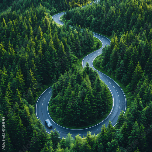 Wallpaper Mural Top drone view of road in woods. Beautiful landscape with roadway in hills, pine trees, meadows, golden sunlight in fall. Travel Torontodigital.ca