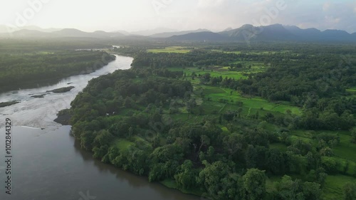 dehrja river in forest evening drone view in palghar in maharashtra in india photo