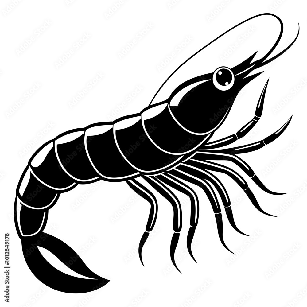 shrimp vector illustration shrimp vector illustration