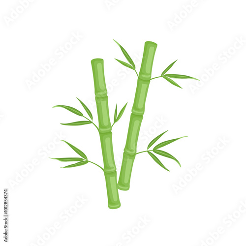 Green bamboo stalks with leaves isolated on white background. Vector cartoon flat illustration.