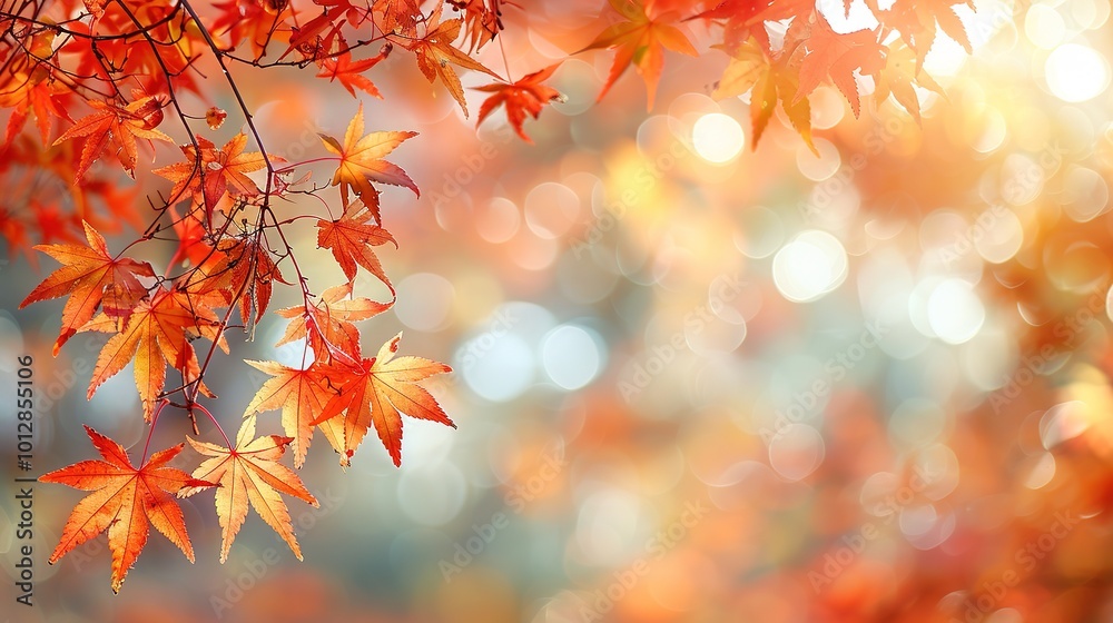 Simple Design in Autumn Background - a charming and serene visual. The simple yet elegant design against the backdrop of autumn creates a captivating and peaceful scene. Simple Design in Autumn Background - a charming and serene visual. The simple yet elegant design against the backdrop of autumn creates a captivating and peaceful scene.