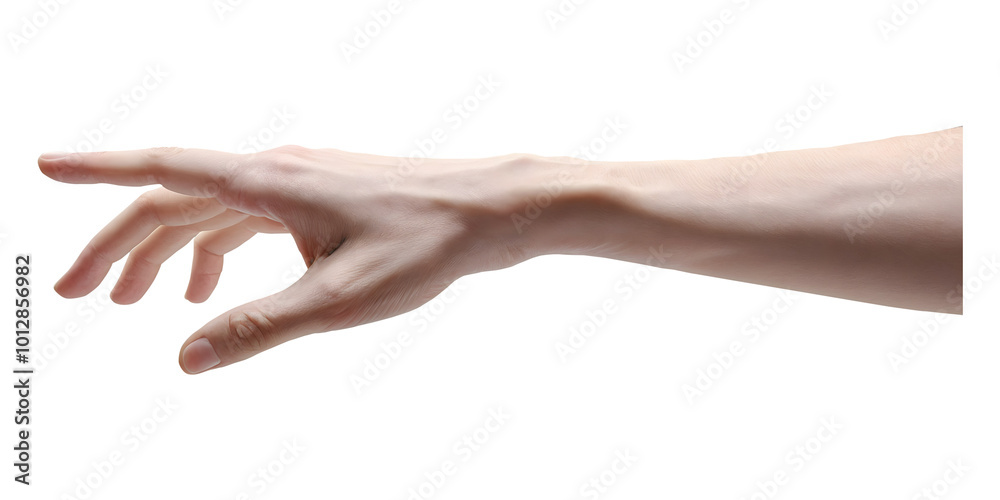 Human Hand Reaching Out Isolated on a Transparent Background Human Hand Reaching Out Isolated on a Transparent Background