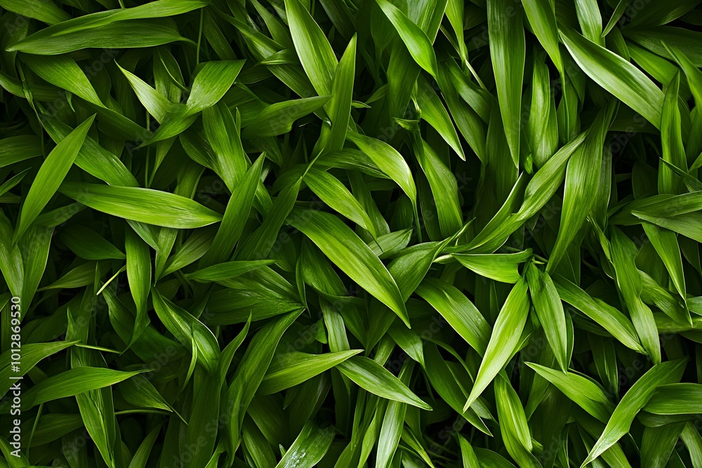 Vibrant Green Leaves