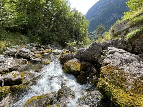 The upper part of the Soča river, Trenta (Triglav National Park, Slovenia) - Der obere Teil des Flusses Soca, Trenta (Triglav-Nationalpark, Slowenien) - Zgornji del reke Soče, Trenta (Slovenija) photo