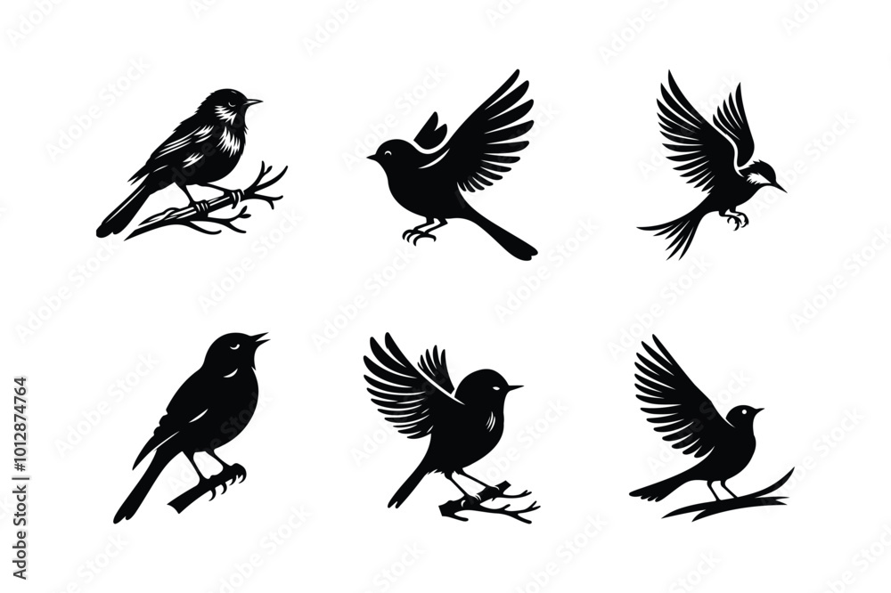 Obraz premium Set of bird silhouettes. Vector elements white background.