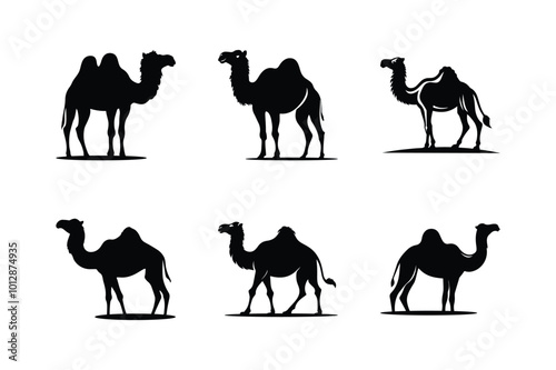 Camel silhouette icon set vector, black camel animal silhouette white background