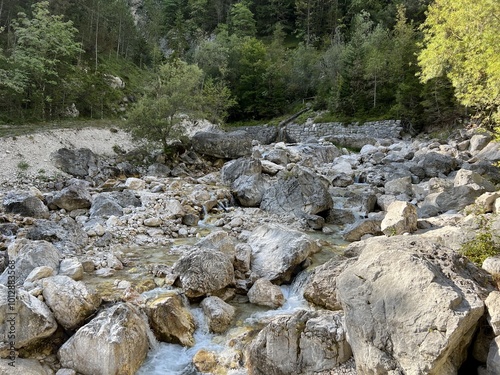 Mlinarica gorge or Mlinarica Canyon, Trenta (Triglav National Park, Slovenia) - Die Flussbetten von Mlinarica oder Tröge der Mlinarica, Trenta (Triglav-Nationalpark, Slowenien) - Korita Mlinarice photo