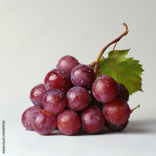 a bunch of grapes with water droplets on them photo