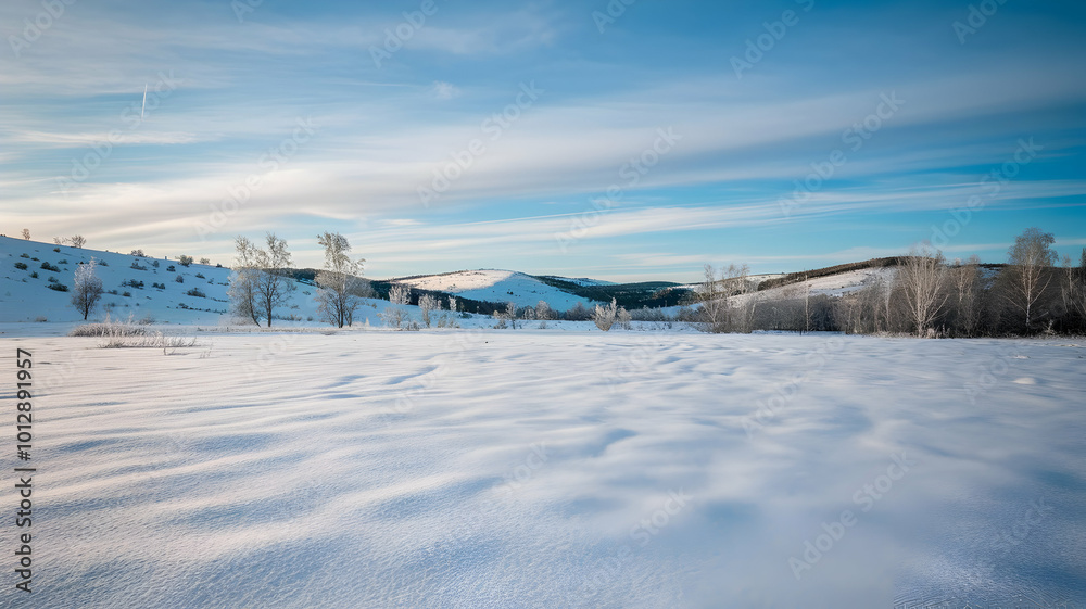 A winter landscape with trees and mountains in the distance on an endless plain covered with snow. A clear sky and white clouds A winter landscape with trees and mountains in the distance on an endless plain covered with snow. A clear sky and white clouds