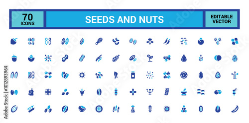 Nuts, seeds icon set. Solid two tone color style icons. Plant based diet ingredients. Solid Nuts icon collection.
