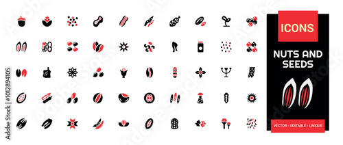 Nuts, seeds icon set. Solid two tone color style icons. Plant based diet ingredients. Solid Nuts icon collection.