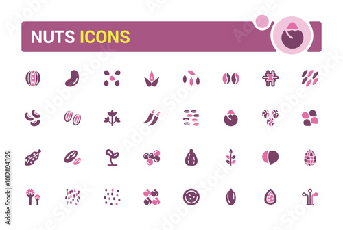 Nuts, seeds icon set. Solid two tone color style icons. Plant based diet ingredients. Solid Nuts icon collection.